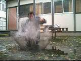 Flaque Banc Yann
