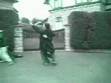 Kung Fu Danse