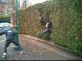 Kung Fu Dans La Haie